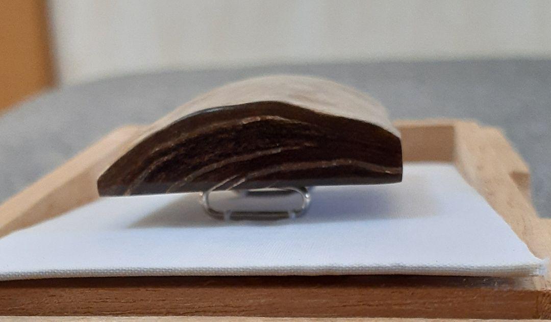 ⑱世界にひとつだけ❗青珊瑚(レインボーコーラル)の帯留め