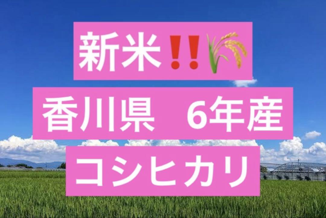 新米！！香川県産コシヒカリ6年産 玄米30kg 普通栽培