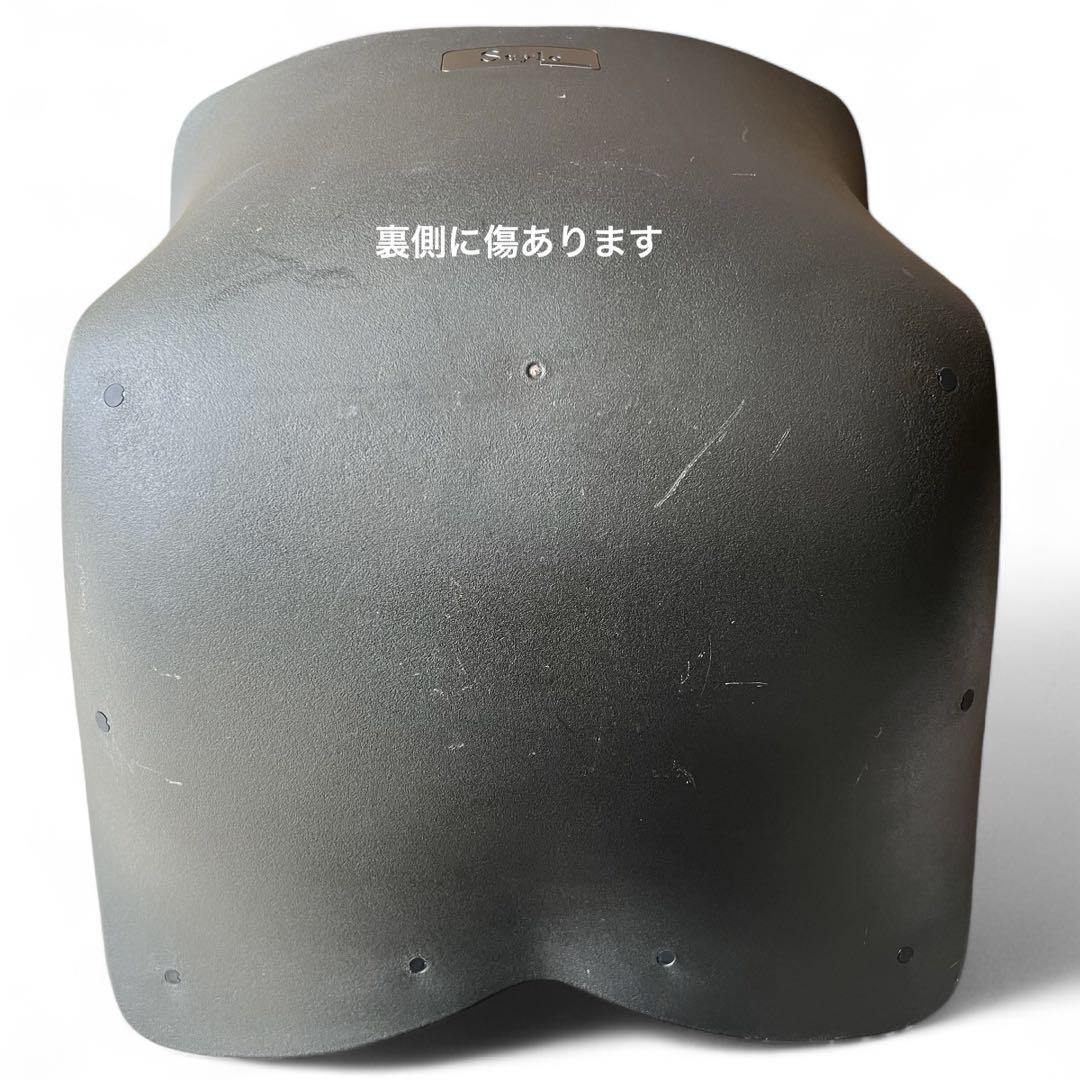 Style PREMIUM DX スタイルプレミアムデラックス リッチブラック