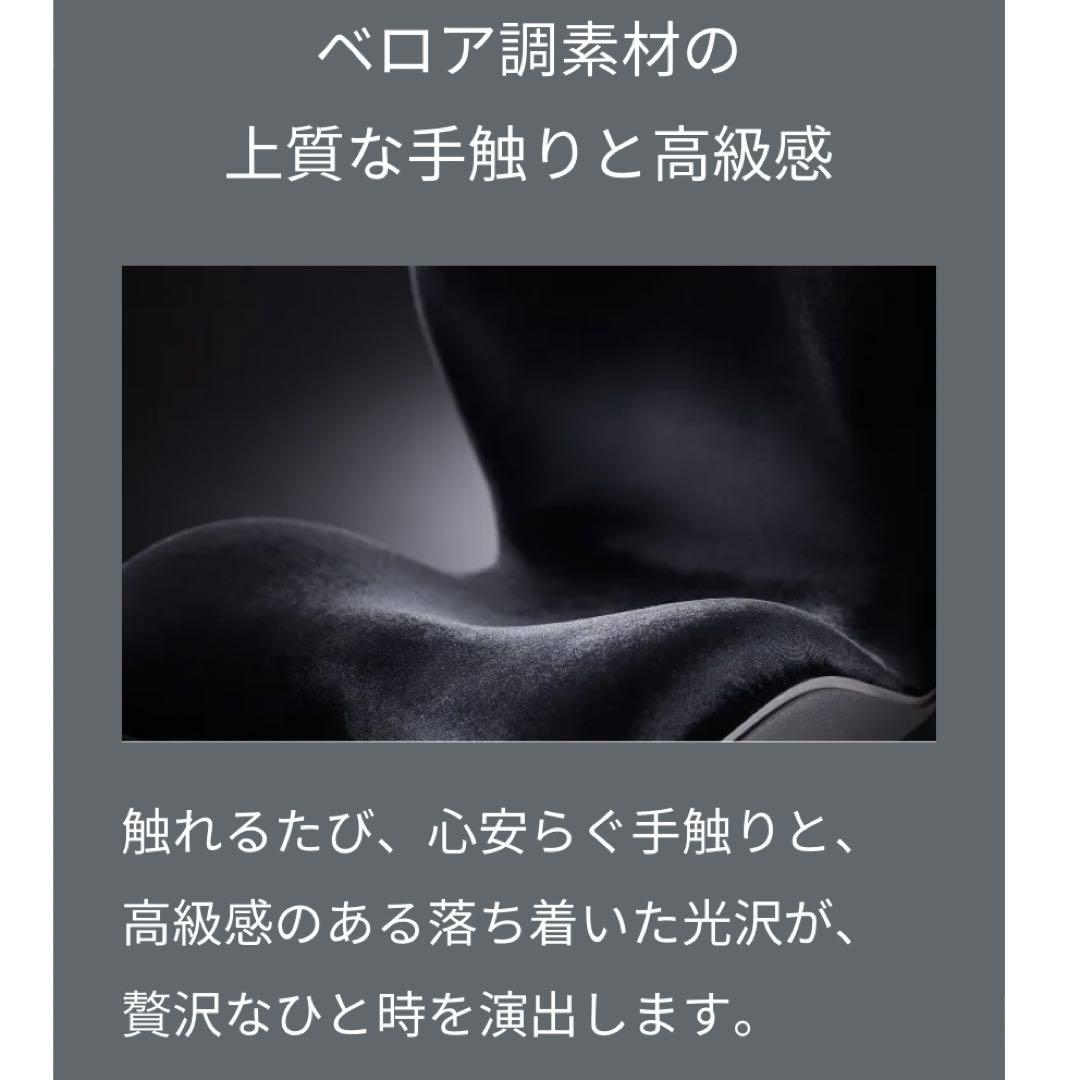 Style PREMIUM DX スタイルプレミアムデラックス リッチブラック