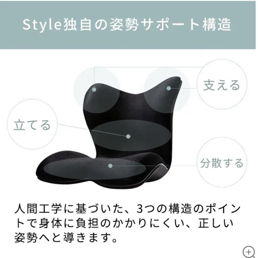 Style PREMIUM DX スタイルプレミアムデラックス リッチブラック