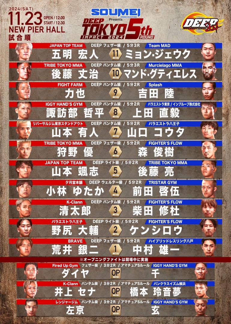 新品⭕️「DEEP JEWELS 47 パンフレット」 中井りん 万智 RIZIN