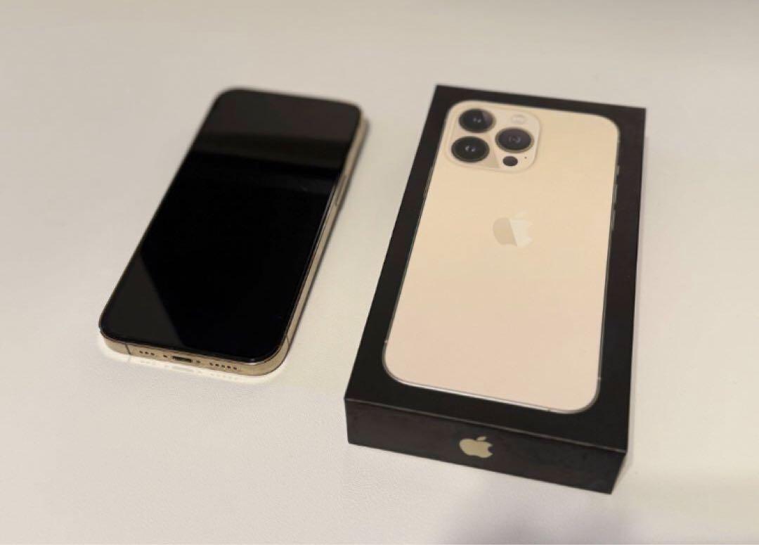 iPhone 13Pro ジャンク