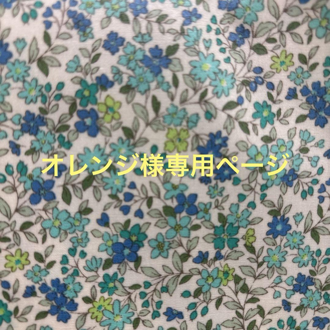 オレンジ様専用ページ