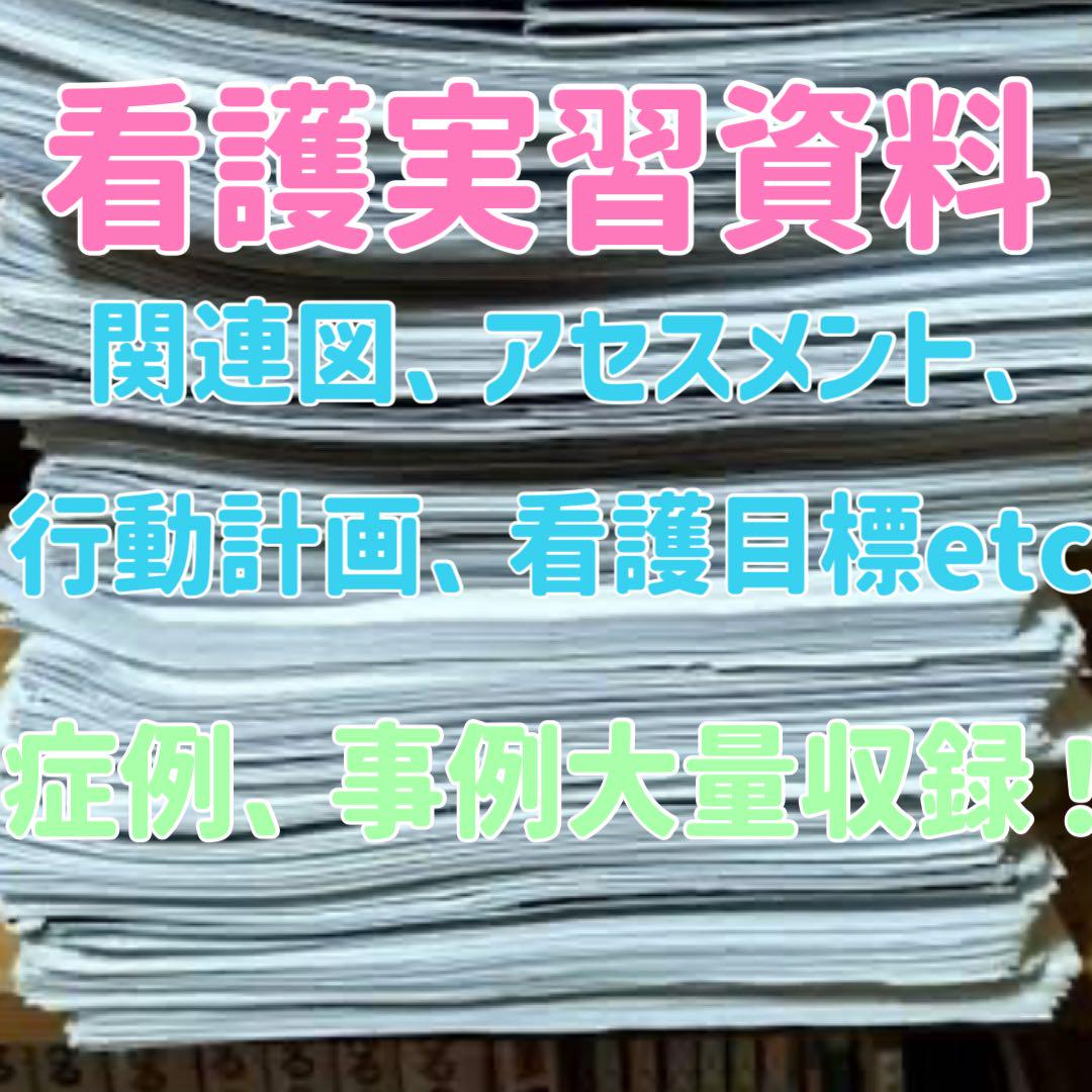 看護学生 実習 関連図 看護計画 ヘンダーソン　アセスメント ゴードン USB 看護学生 実習 関連図 看護計画 ヘンダーソン アセスメント