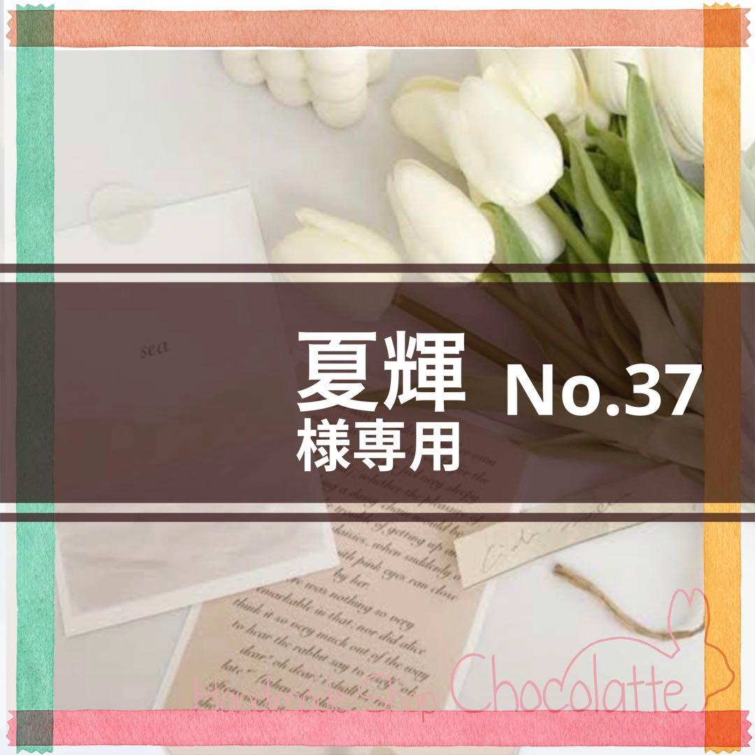 ❣️夏輝様専用No.37❣️ | www.eesppsantarosacusco.edu.pe