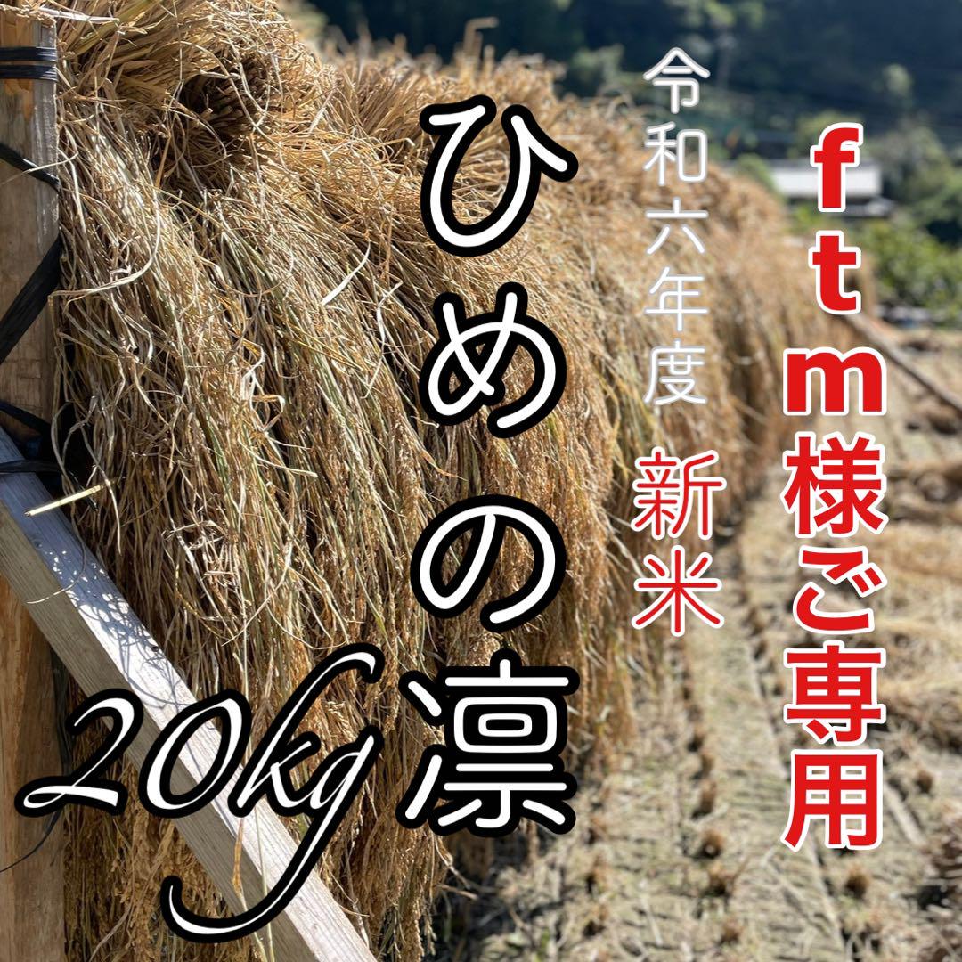 ftm様ご専用　R6年度米愛媛県産ヒノヒカリ稲架掛け米 20kg