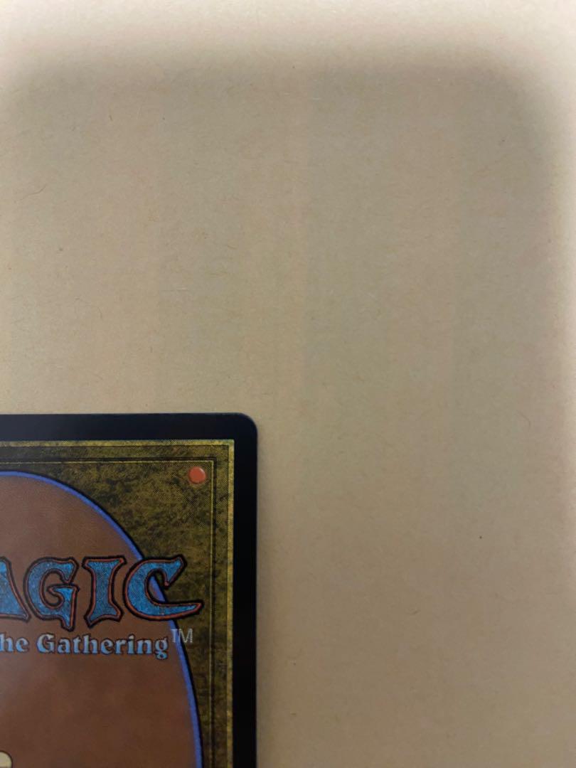MTG SPG 湿地の干潟 ドラゴルスケイルfoil - メルカリ