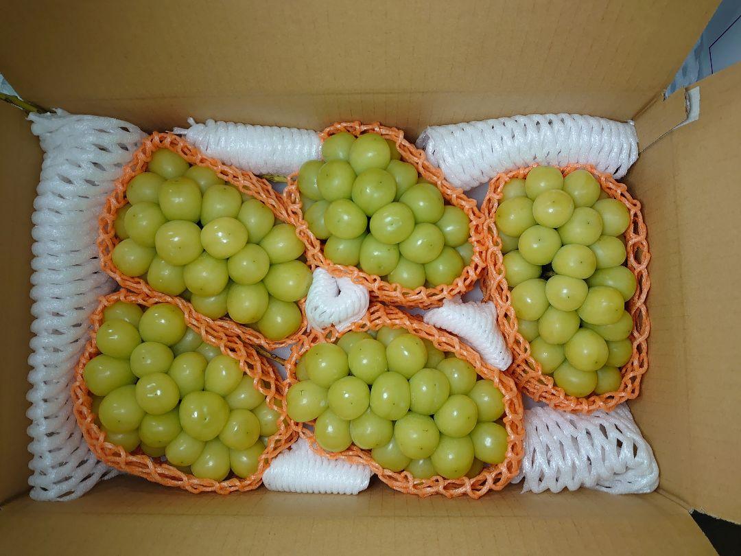 大粒大房シャインマスカット4kg 長野県須坂産 22110101 - casaxelaju.com