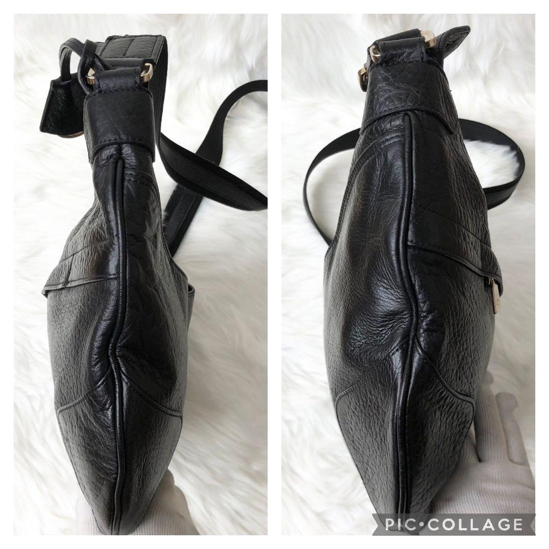 【美品】aniary アニアリ　レザー　ショルダーバッグ　ハーフムーン　ブラック 極美品】aniary アニアリ ショルダーバッグ ハーフムーン 三日月