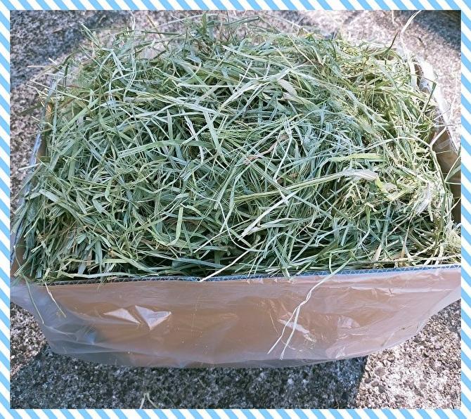 【6/20まで数量限定】US産 チモシー 1番刈り 30kg Ｓプレミアム
