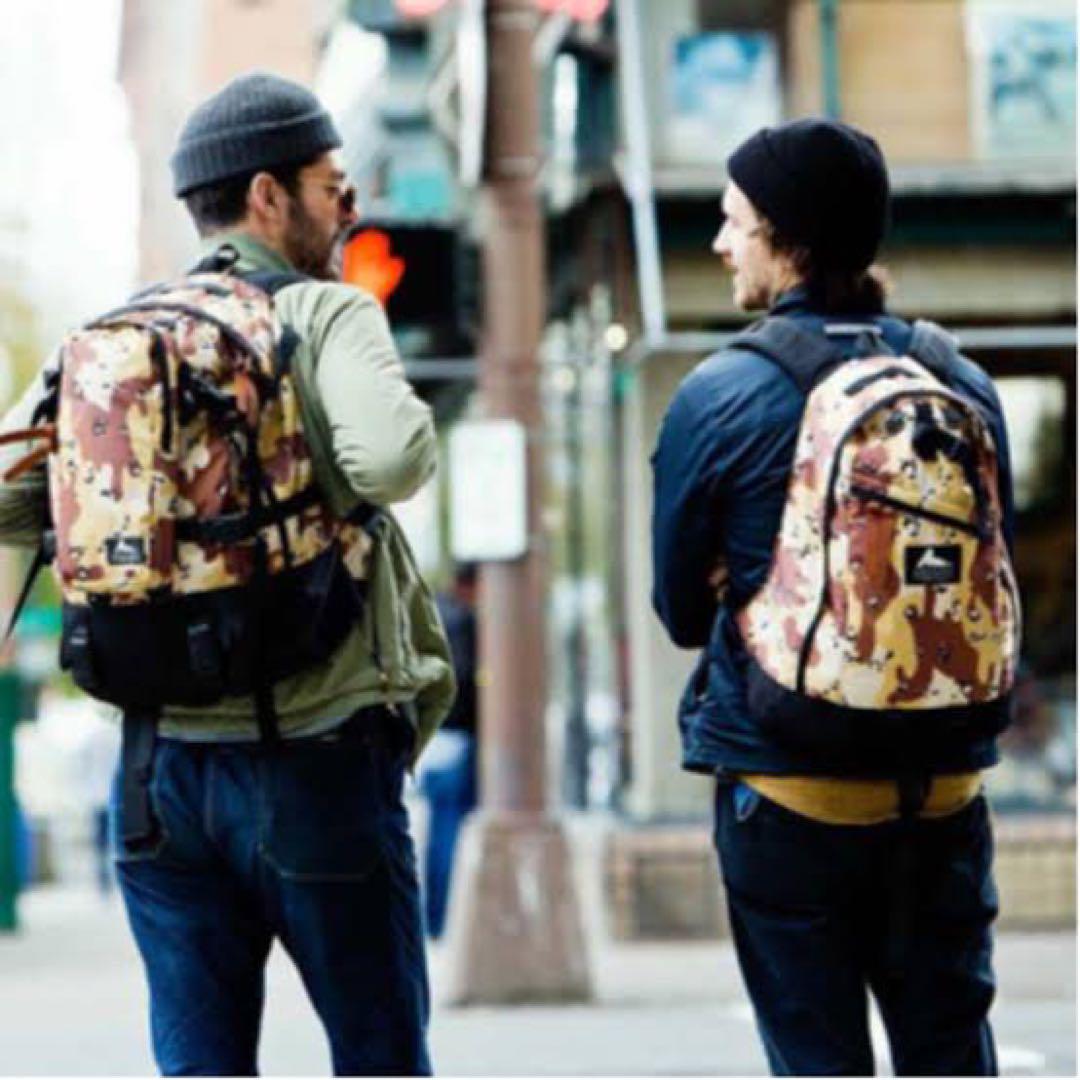 gregory 40周年　daypack チョコチップカモ