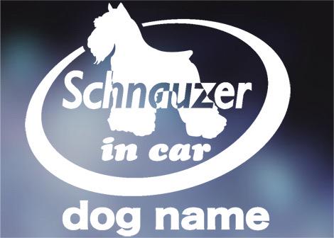 シュナウザー in carステッカー、犬ステッカー