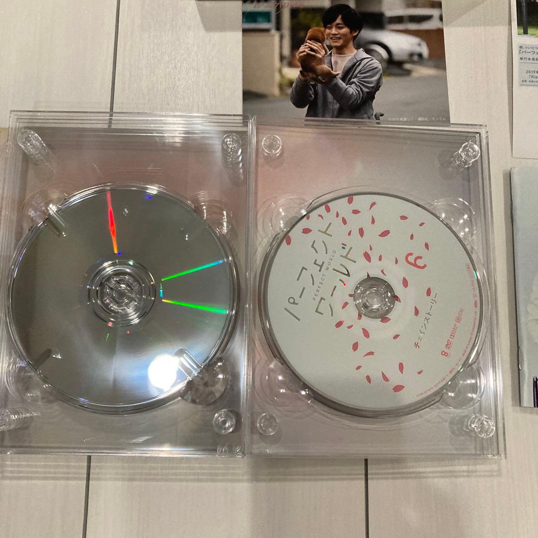 松坂桃李 山本美月 パーフェクトワールド DVDBOX 松坂桃李 山本美月 パーフェクトワールド DVDBOX