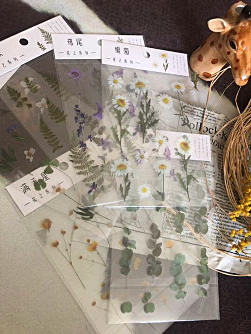 メルカリ ボタニカル シール 6枚セット 海外ステッカー お花 大きめ 植物 透明 テープ マスキングテープ 1 140 中古や未使用のフリマ メルカリ ボタニカル シール 6枚セット 海外ステッカー お花 大きめ 植物 透明 テープ マスキングテープ 1 140 中古や未使用のフリマ