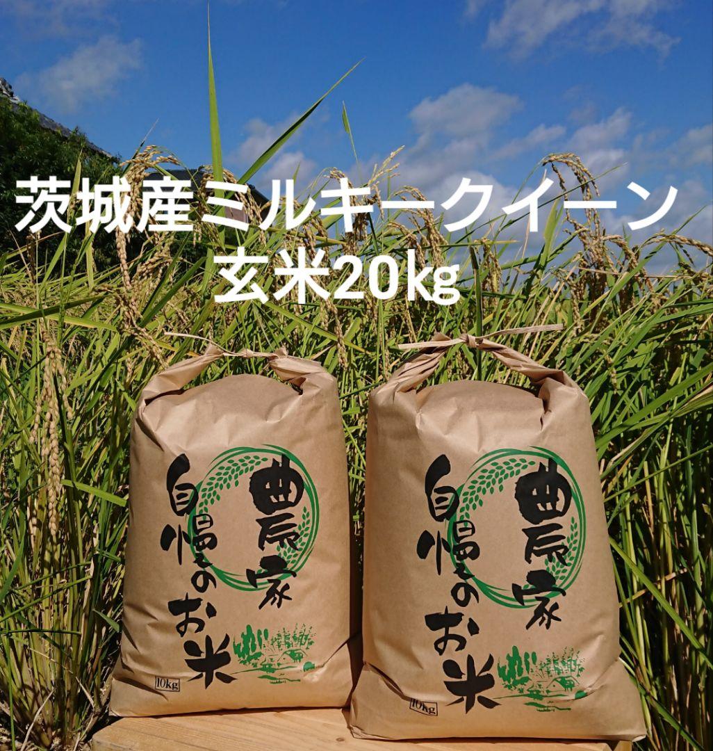 茨城令和5年産新米ミルキークイーン玄米20kg