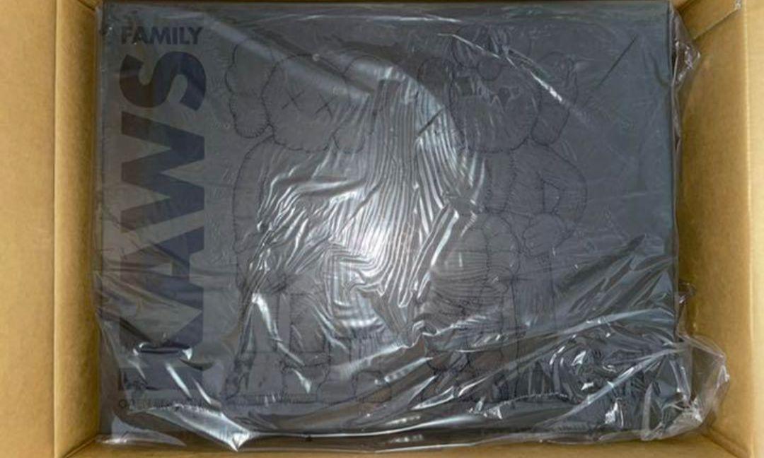 kaws family black カウズ　kaws first