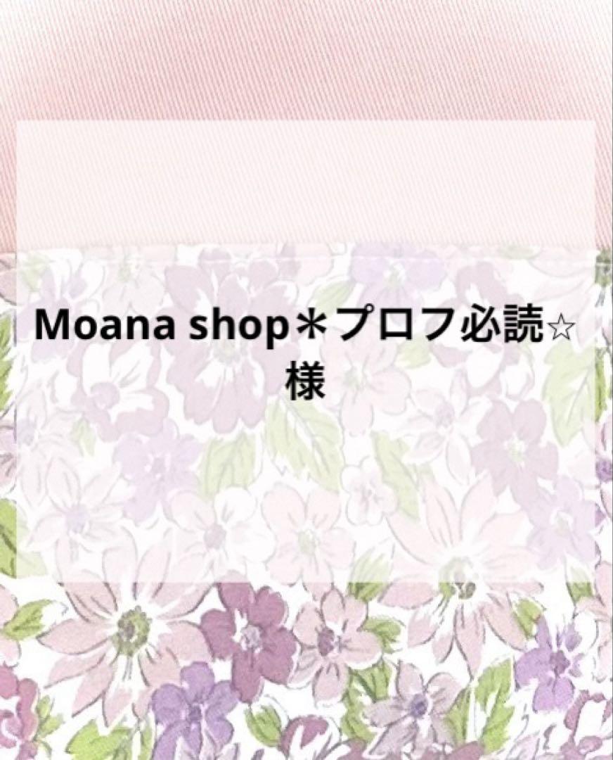 【No.44】 ⭐️handmade⭐️　体操着袋　お着替え袋　巾着　入学　入園