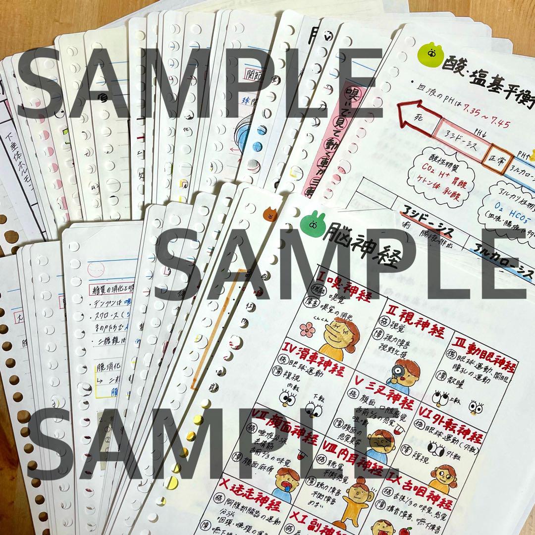 【送料無料ライン/39ショップ】 看護師国家試験まとめノート 激安‼️ 付箋ノート 解剖 国試 健康・医学