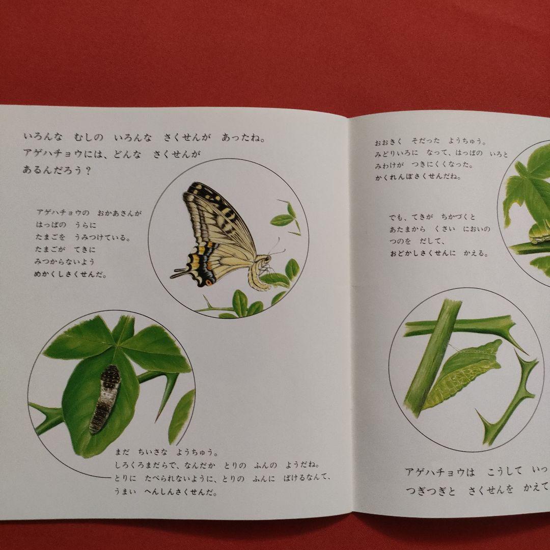 たくさんのふしぎ　かがくのとも　虫は森のアーティスト　むしたちのさくせん　福音館 たくさんのふしぎ かがくのとも 虫は森のアーティスト むしたち