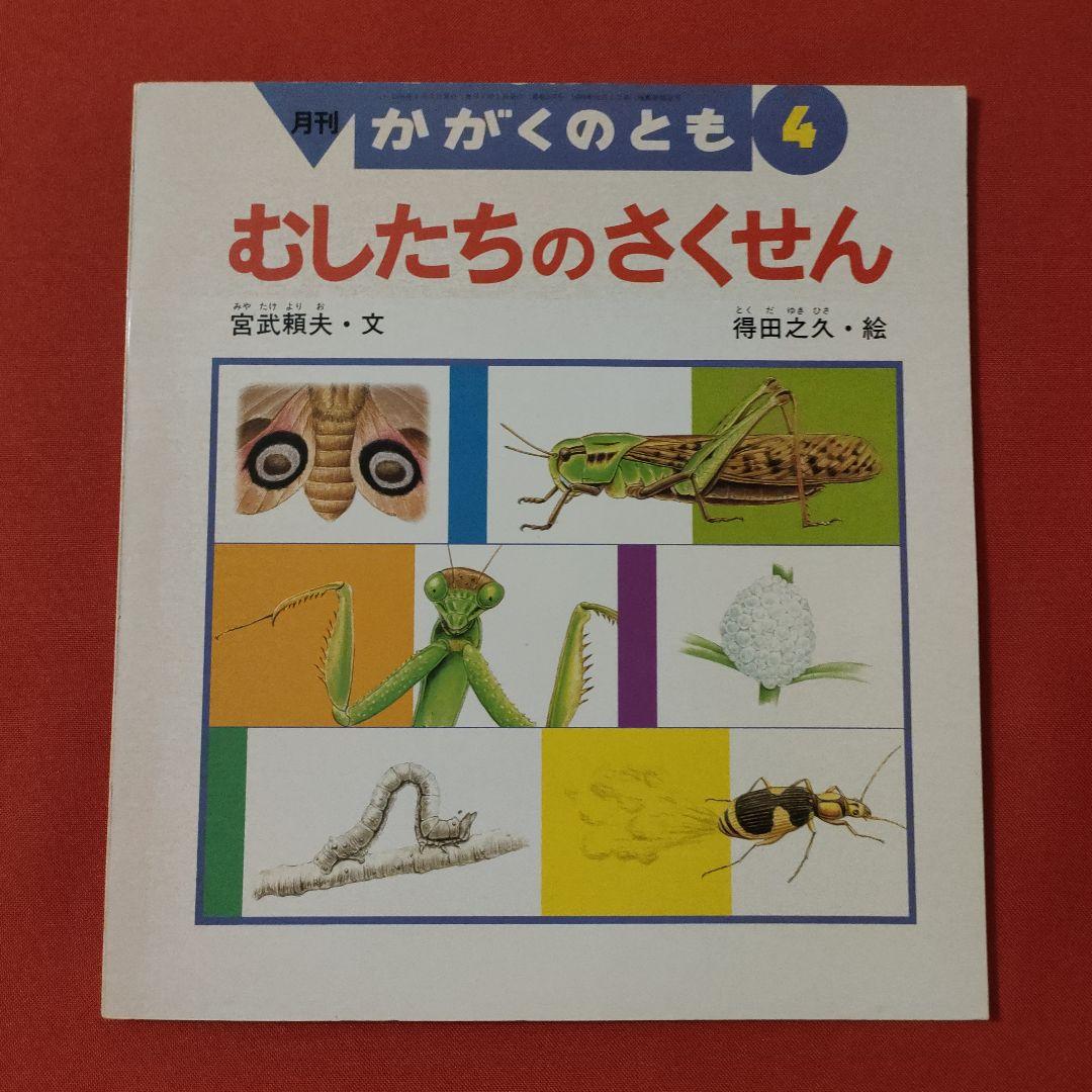 たくさんのふしぎ　かがくのとも　虫は森のアーティスト　むしたちのさくせん　福音館 たくさんのふしぎ かがくのとも 虫は森のアーティスト むしたち
