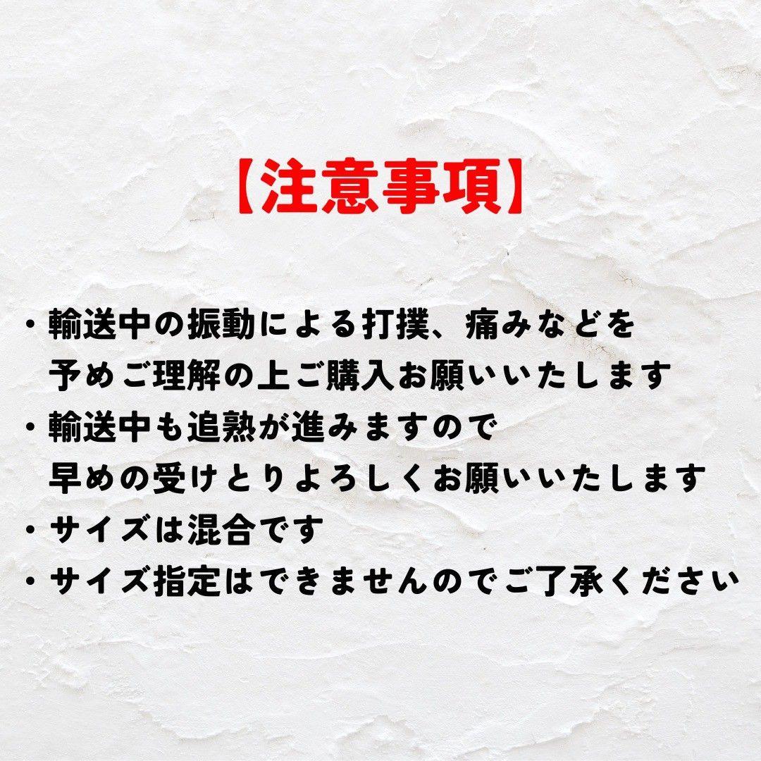 沖縄県産パッションフルーツ　家庭用6kg