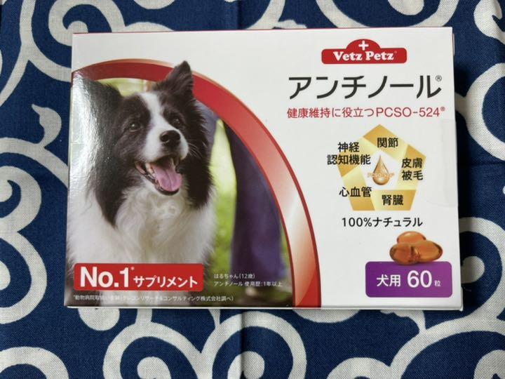 アンチノール 60カプセル