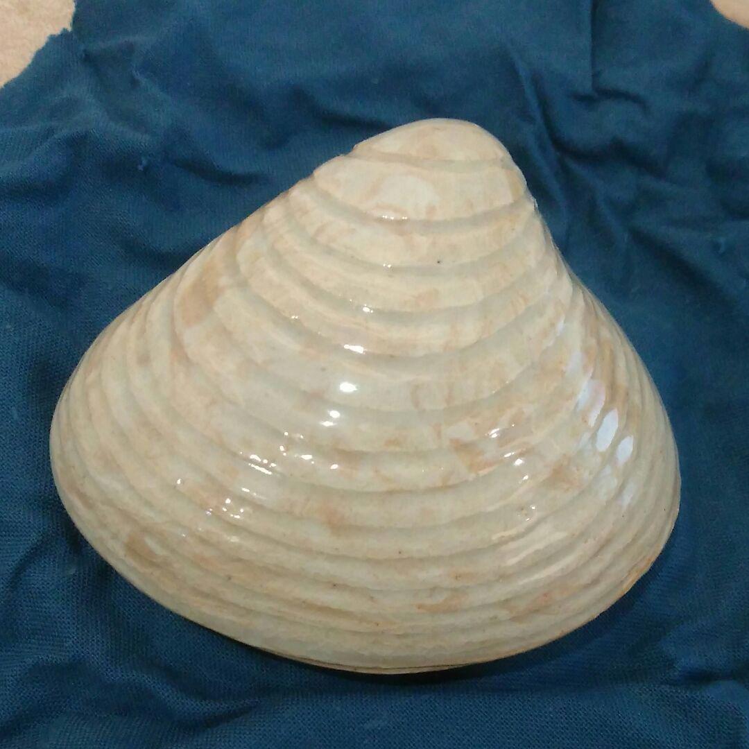 セール定番 茶道具 香合 尾戸焼はまぐり香合 B1HvC-m59156559032 日本製安い