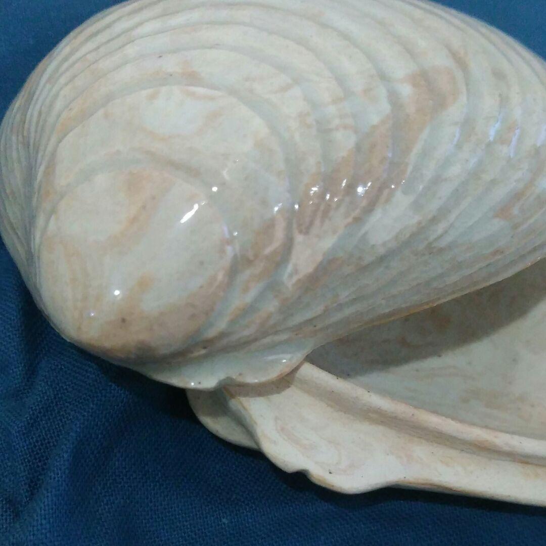 セール定番 茶道具 香合 尾戸焼はまぐり香合 B1HvC-m59156559032 日本製安い