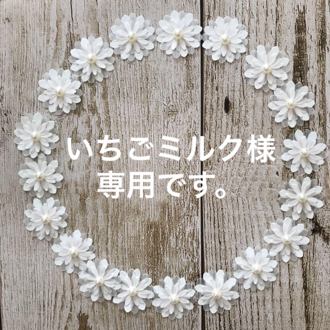 新品】 いちごミルク様 専用です。 - esvv.edu.pt 新品】 いちごミルク様 専用です。 - esvv.edu.pt