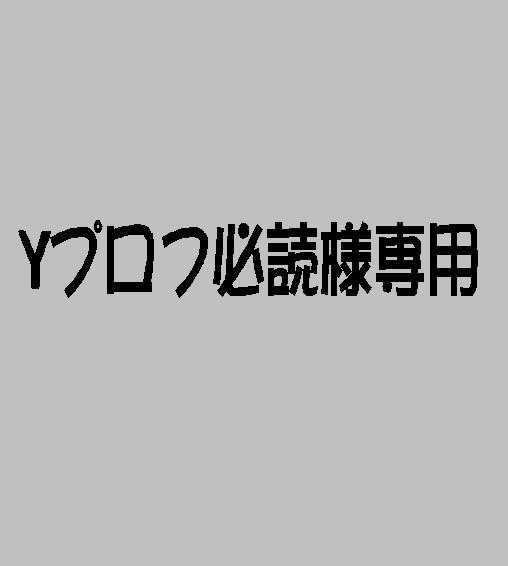 yプロフ必読