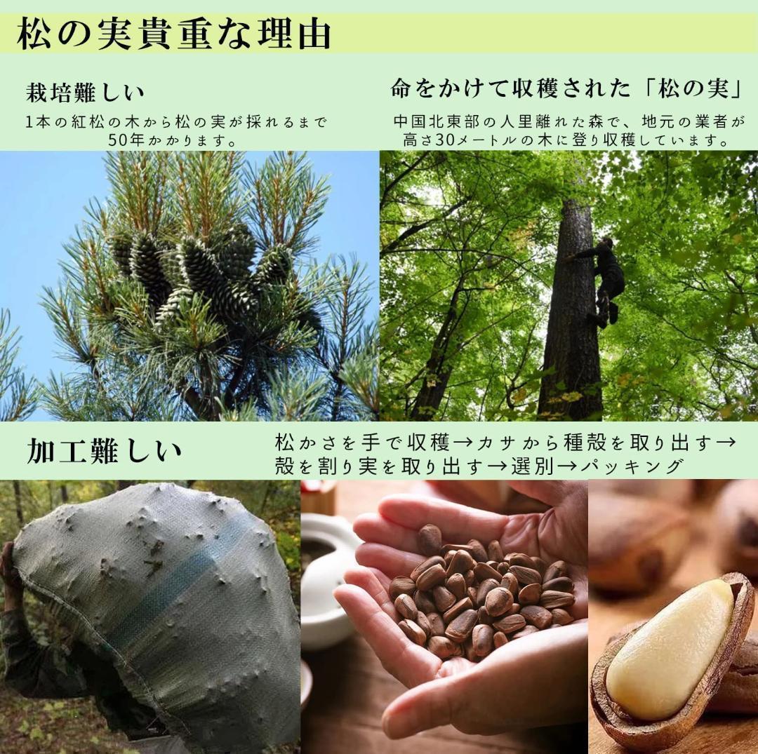 スーパーフード　陸の牡蠣 松の実1000g　製菓材料 薬膳 無添加 無農薬