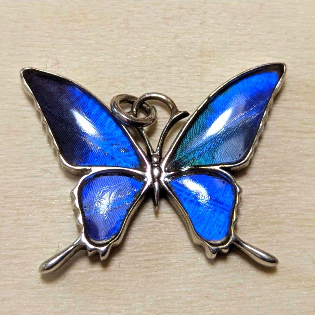 海外ブランドアウトレット通 希少☆幸運を呼ぶ青い蝶 本物のモルフォ蝶の羽 シルバー925 アクセサリー