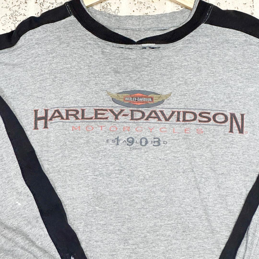 超希少 Harley-Davidson ラグランt 自由の女神 両面プリント