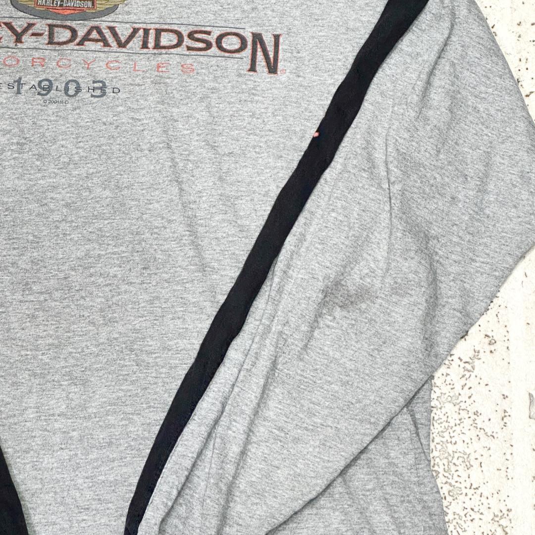 超希少 Harley-Davidson ラグランt 自由の女神 両面プリント