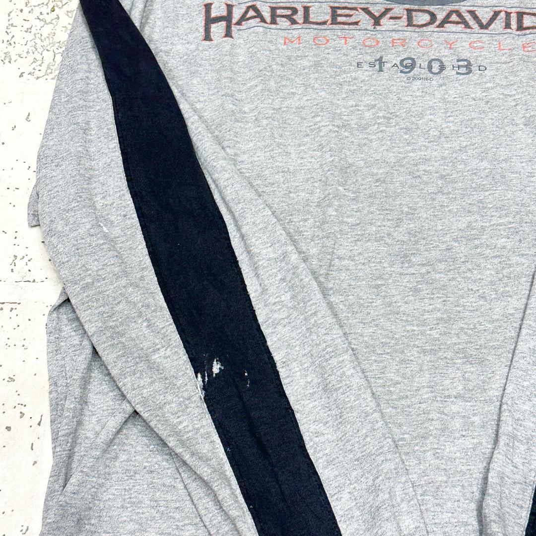 超希少 Harley-Davidson ラグランt 自由の女神 両面プリント