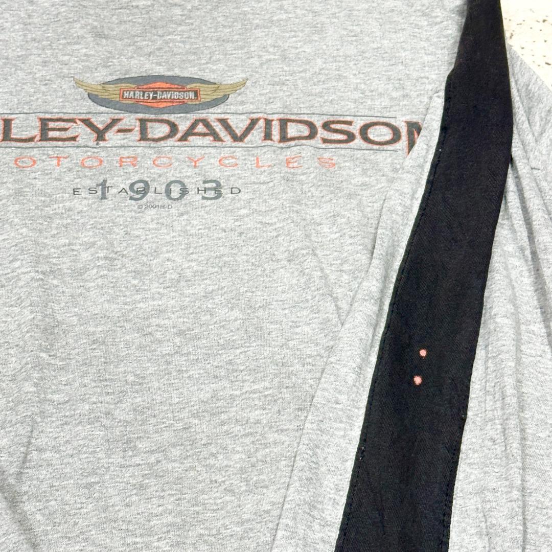 超希少 Harley-Davidson ラグランt 自由の女神 両面プリント