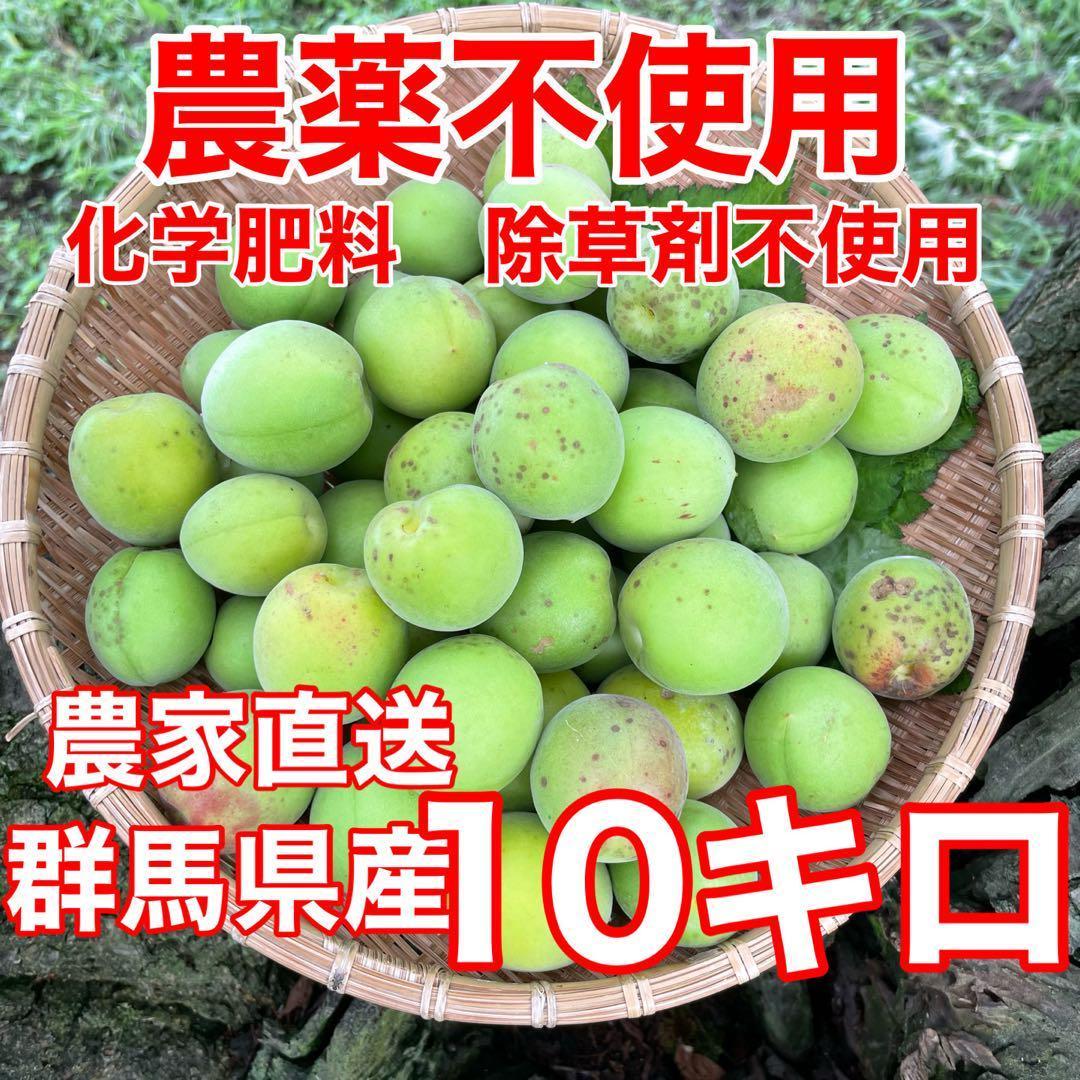 農薬、化学肥料、除草剤不使用　中熟梅　木熟　10キロ　農家直送　ご注文後収穫