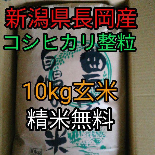 代金引換決済不可 【SALE】新潟県長岡産令和2年度コシヒカリ整粒10キロ玄米【精米無料】 ランドセル即納|食品 - www.murad.com.jo 代金引換決済不可 【SALE】新潟県長岡産令和2年度コシヒカリ整粒10キロ玄米【精米無料】 ランドセル即納|食品 - www.murad.com.jo