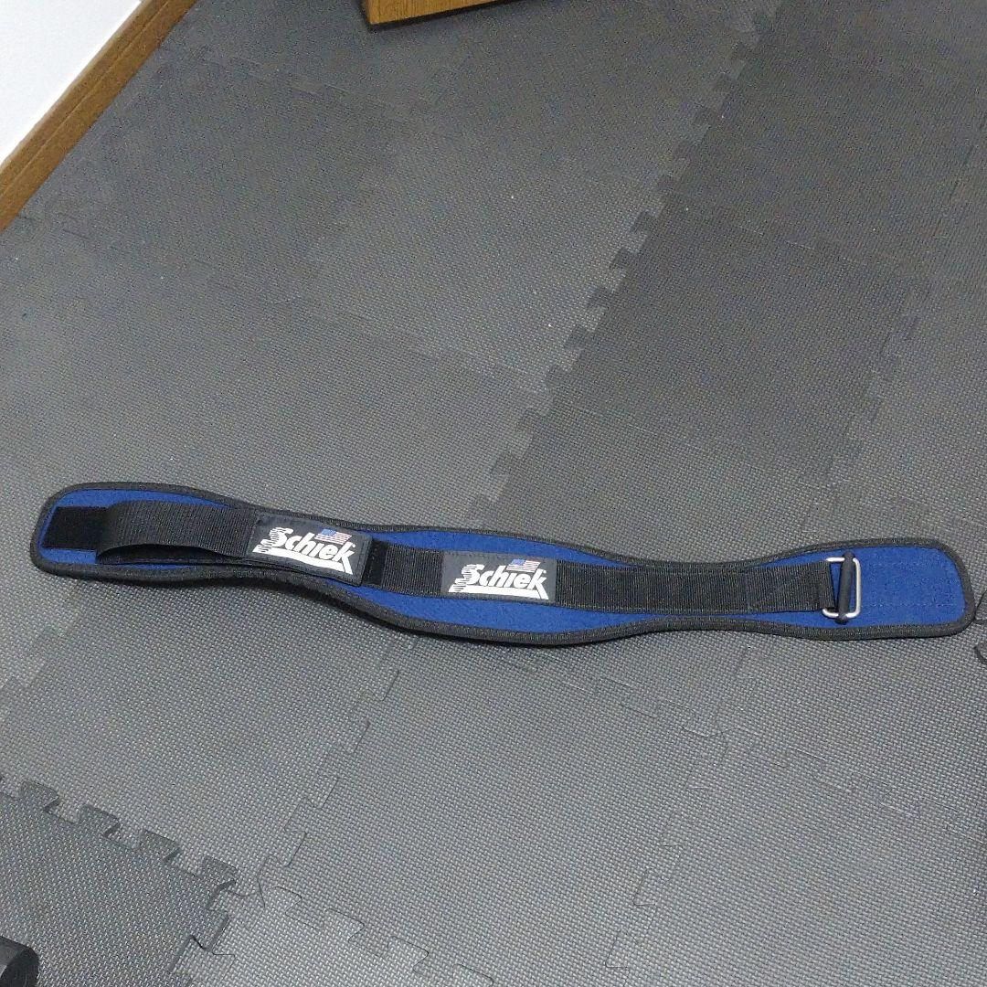 ウエイトトレーニング schiek