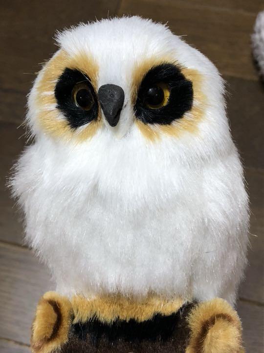 メルカリ リアルフクロウ マスコット シロフクロウ ぬいぐるみ 1 222 中古や未使用のフリマ メルカリ リアルフクロウ マスコット シロフクロウ ぬいぐるみ 1 222 中古や未使用のフリマ