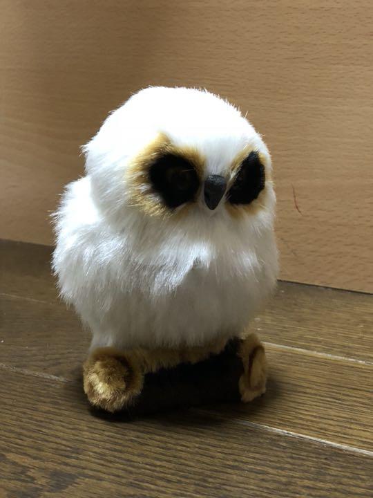メルカリ リアルフクロウ マスコット シロフクロウ ぬいぐるみ 1 222 中古や未使用のフリマ メルカリ リアルフクロウ マスコット シロフクロウ ぬいぐるみ 1 222 中古や未使用のフリマ