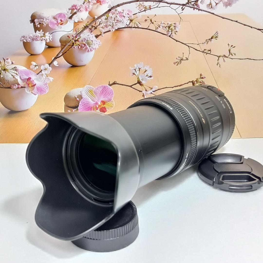 未来に残す瞬間を！迫力望遠レンズ キヤノン EF90-300mm Canon