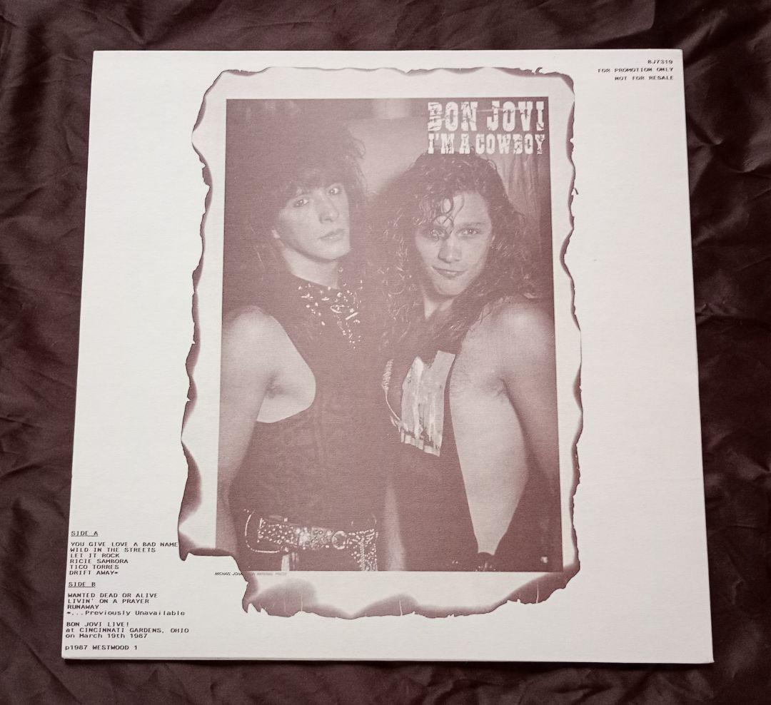 BON JOVI LP2枚 ワイルド・イン・ザ・ストリーツ他 BON JOVI LP2枚 ワイルド・イン・ザ・ストリーツ他 - メルカリ