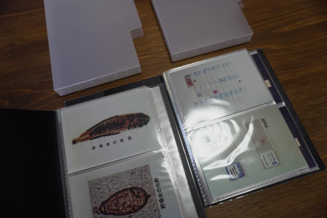 【⭐︎アタック⭐︎】快医学　LETセット