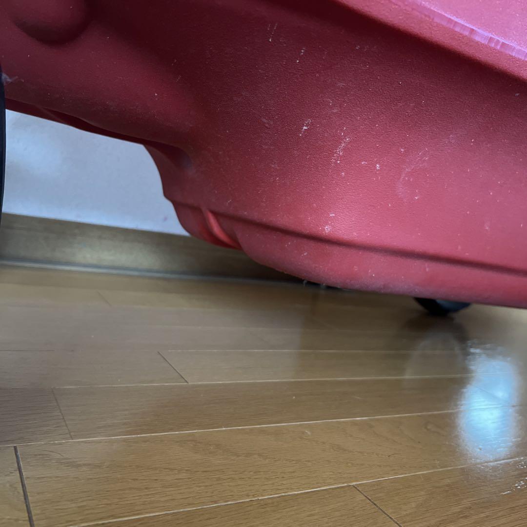 ラジオフライヤー　キャノピーワゴン　2人乗り