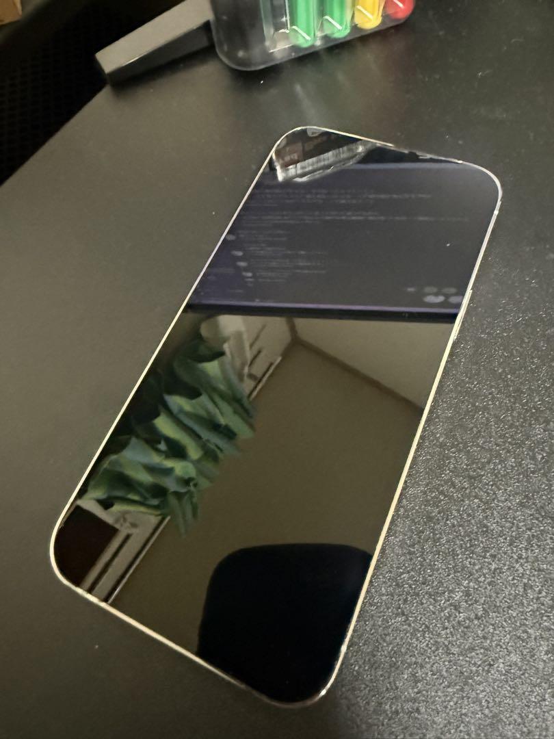 Apple IPhone13 pro max 256GB SIMフリー 本体のみ