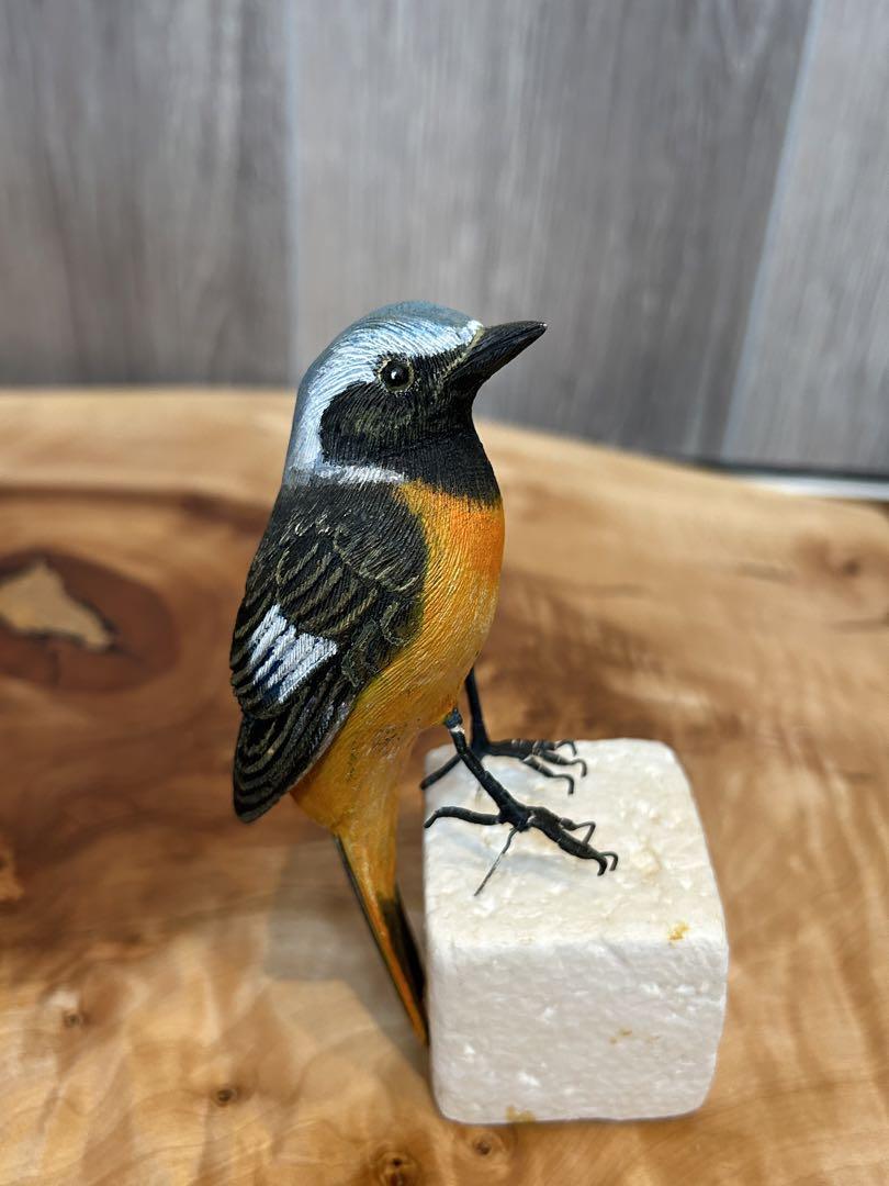 コーヒーヤロウ　ジョウビタキ（オス）　野鳥　ヤマガラ