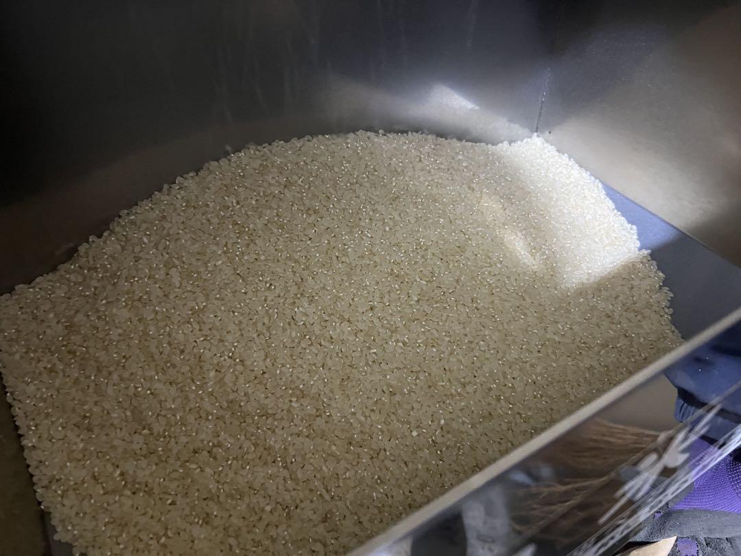 長野県産コシヒカリ　令和6年産　精米10キロ