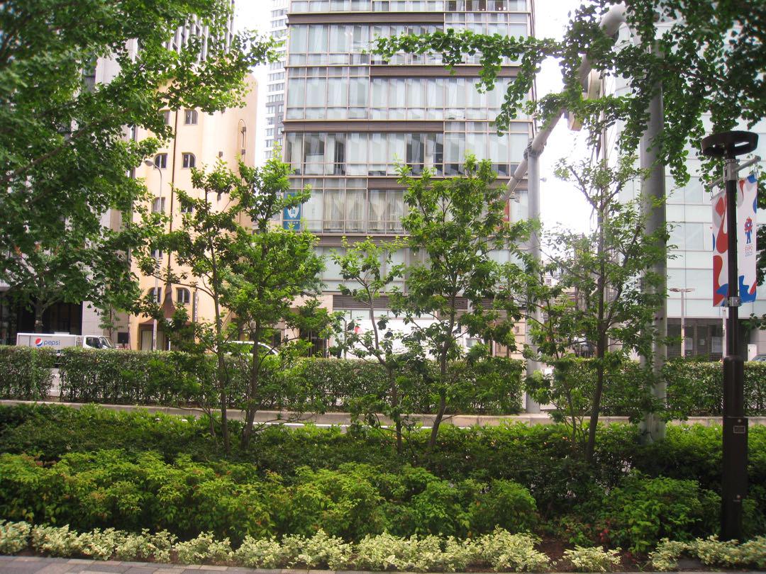 【作例あり】Canon IXY DIGITAL 910is CCDセンサー
